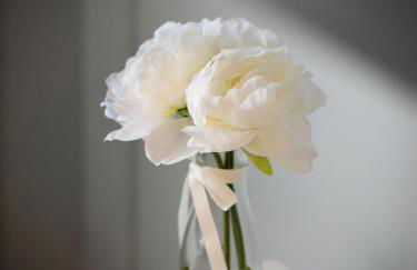 Paradise Guest House - Photo 43