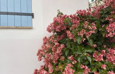 LUVA d'Azur, Rez de villa LE RIOU - LE VALLON - Foto 73