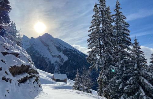 Appartement cosy au pied des pistes - Foto 23