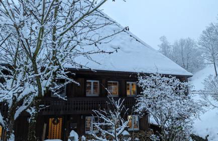 Ferienwohnung im Historischen Schwarzwaldhaus - Foto 12