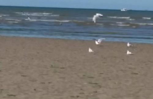 Cottage chaleureux - Photo 5