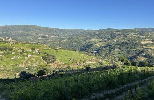 Quinta da Touça - Foto 44