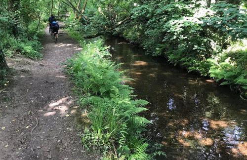 A woodland retreat - Apartment in converted mill - Foto 3