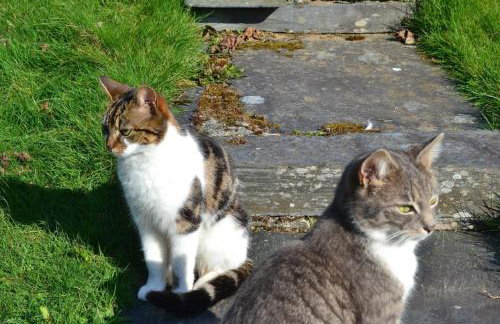 Old Coach House, Betws y Coed, Snowdonia - Foto 65
