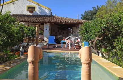 Zagara di Sicilia - Foto 2