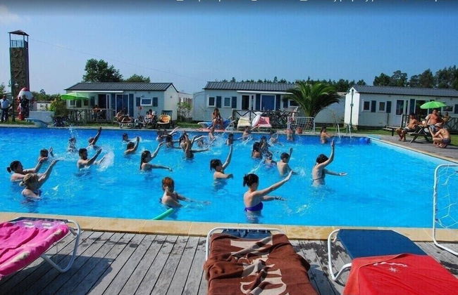 Quinta do Valão - Foto 36