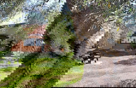 La Piana degli Ulivi - Foto 53