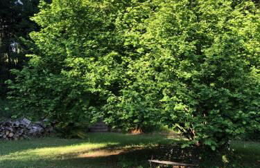 Tuscia Castle Apartments - Foto 6