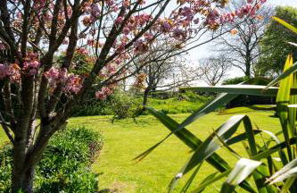 Tranquil 2 bed cottage Sidmouth, rural escape - Foto 16