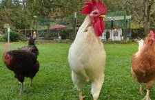 Bajo Los Tilos - Foto 2