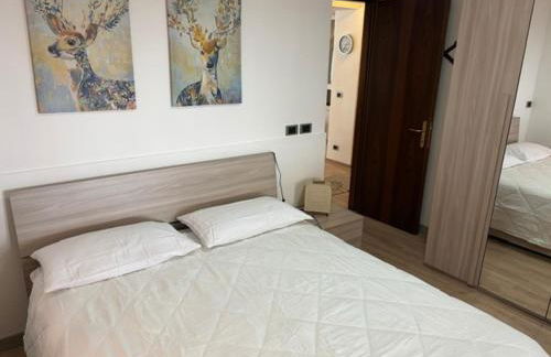 Spazioso Appartamento in Via Valtellina Aprica - Foto 8