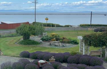 Dungeness Barn House Bed and Breakfast at Two Crows Farm - Foto 10