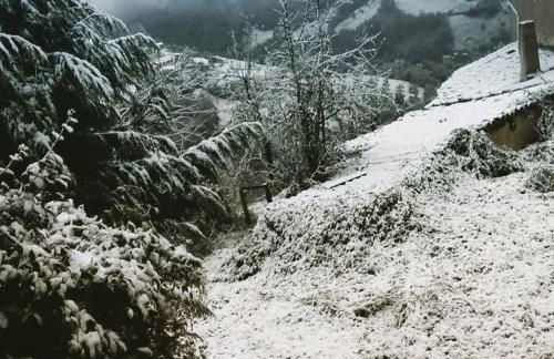 Cobijo de Villar - Foto 22