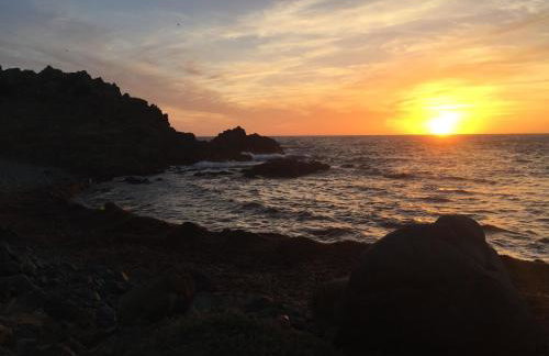 Vizzavona Piscine - Photo 34