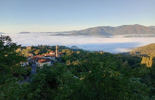 La Romanina - Foto 4