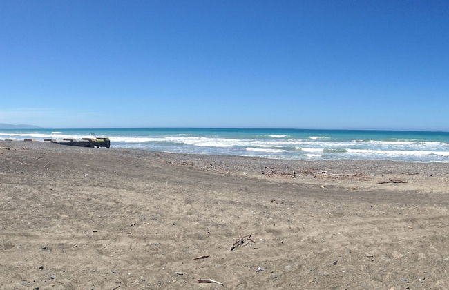 Leithfield Beach Holiday Park - Foto 40