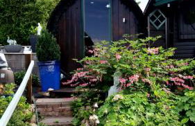 Haus Harzer Bergblick all inklusiv Sauna Whirlpool - Foto 34