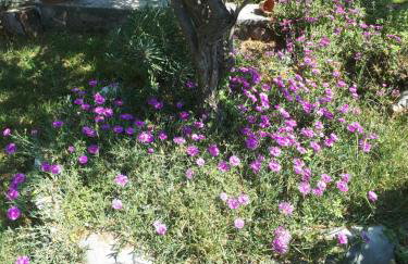 Apartments Makaus - Photo 21