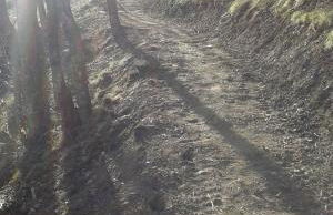 Appartamenti Presanella - Foto 24