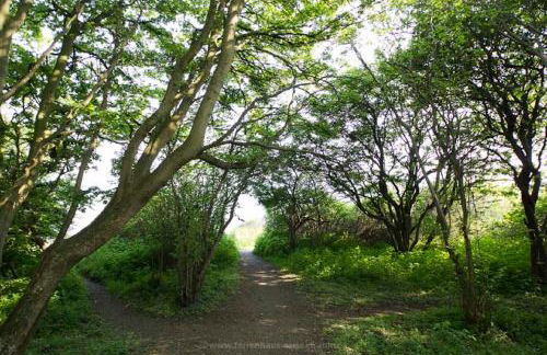 Ferienhaus Ostseetraum Langholz - Foto 23