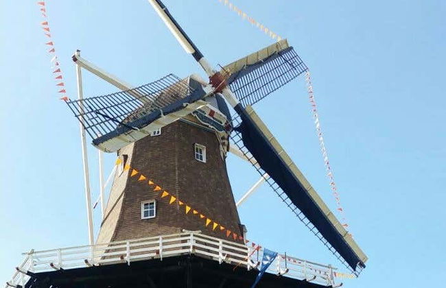 Excursion à Carambeí et Castrolanda - Photo 5