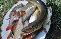 Pauza Drzewoszewo - Dom nad jeziorem - Foto 30