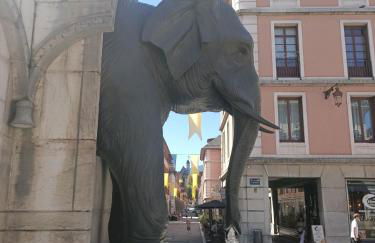 Très grand T3 - hyper centre - proximité gare - Foto 30