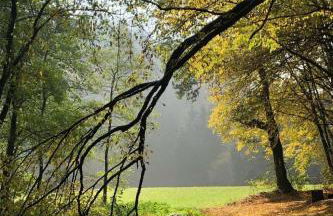 Apartment Urbane Remise by Interhome - Foto 23