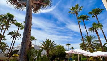 TENERO APARTAMENTO TENERIFE EL DORADO - Photo 4