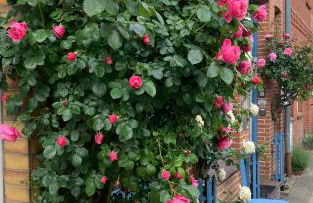 "Auszeit Friedrichstadt" - Foto 3