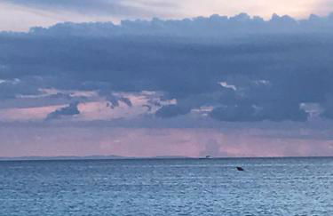 Dreams House Paola-luxury suite near airport - Foto 44