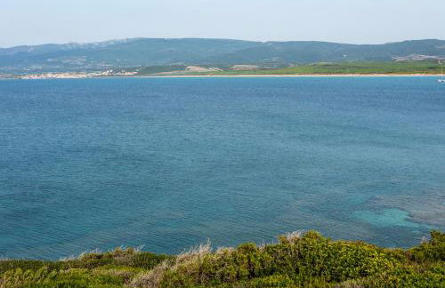 Maison de l artiste Zangs - Foto 31