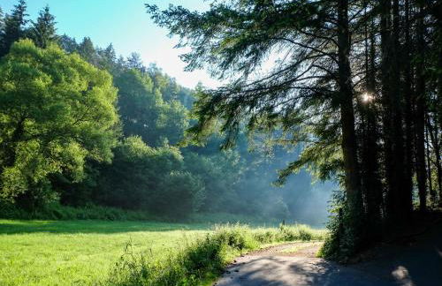 Holiday Home Reinskopf-3 by Interhome - Foto 41