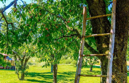 House Grande - Foto 19