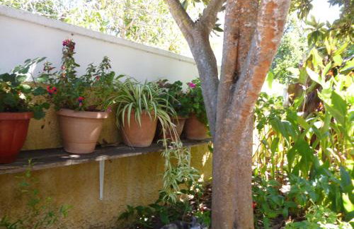 Kostas studios - Foto 26