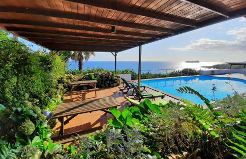 QVA - Quinta Velha das Amoreiras - Photo 1