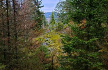 Bungalow Schwarzatalblick in Bad Blankenburg Ortsteil Böhlscheiben - Foto 47