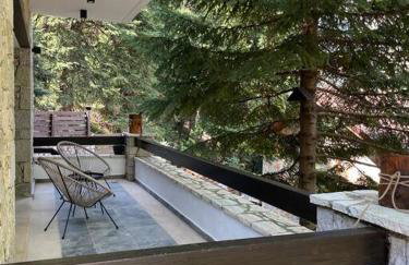 The forest chalet in Parnassus - Foto 9