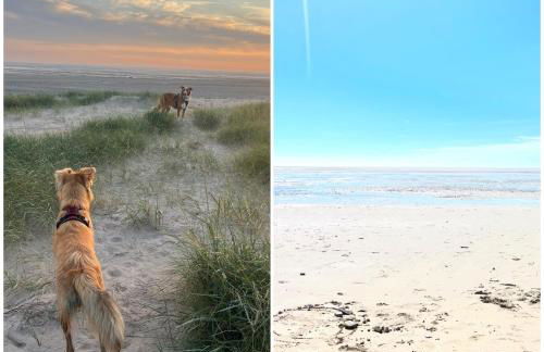 Gîte des Hirondelles n - Foto 39