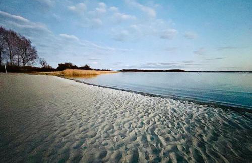 Naturoase inmitten von Wald und Wasser - Photo 12