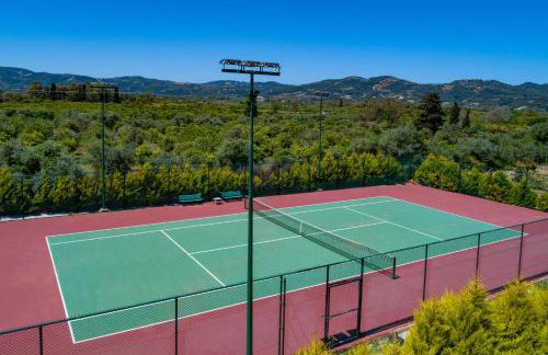 Queen Electra with pool and tennis court - Photo 62