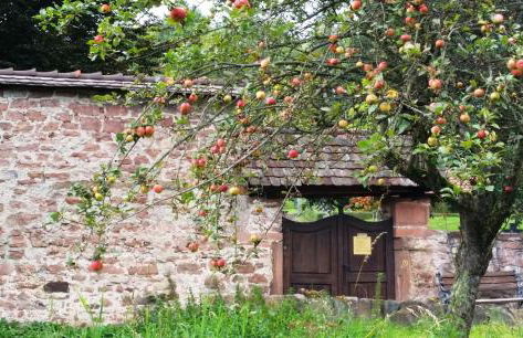 Urlaubs(t)raum - Foto 31