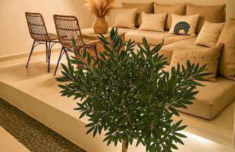 Heliareti Traditional House - Foto 25