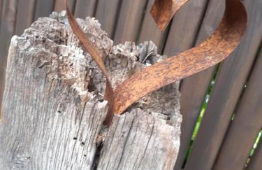 Ferienwohnung Meta's Hof - Photo 9