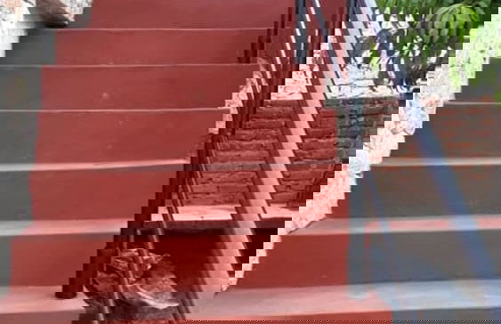 Cabañas & Apart Yki Shamuaika - Foto 12