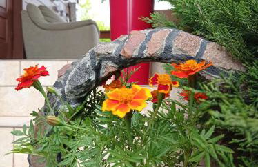 Agroturystyka Pasynki 44 - Foto 24