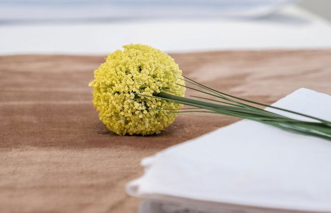 Apartments Sonja - Foto 28