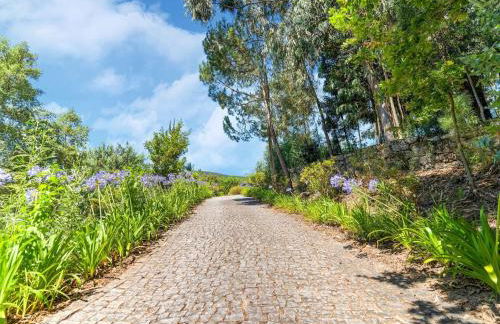 Forest Hideaway Near Douro Valley - Foto 19