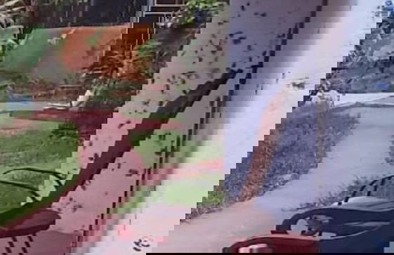 Apartamentos Massai - Foto 40