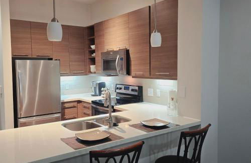 Midtown Downtown Breeze 7 miles from Rodeo - Foto 16